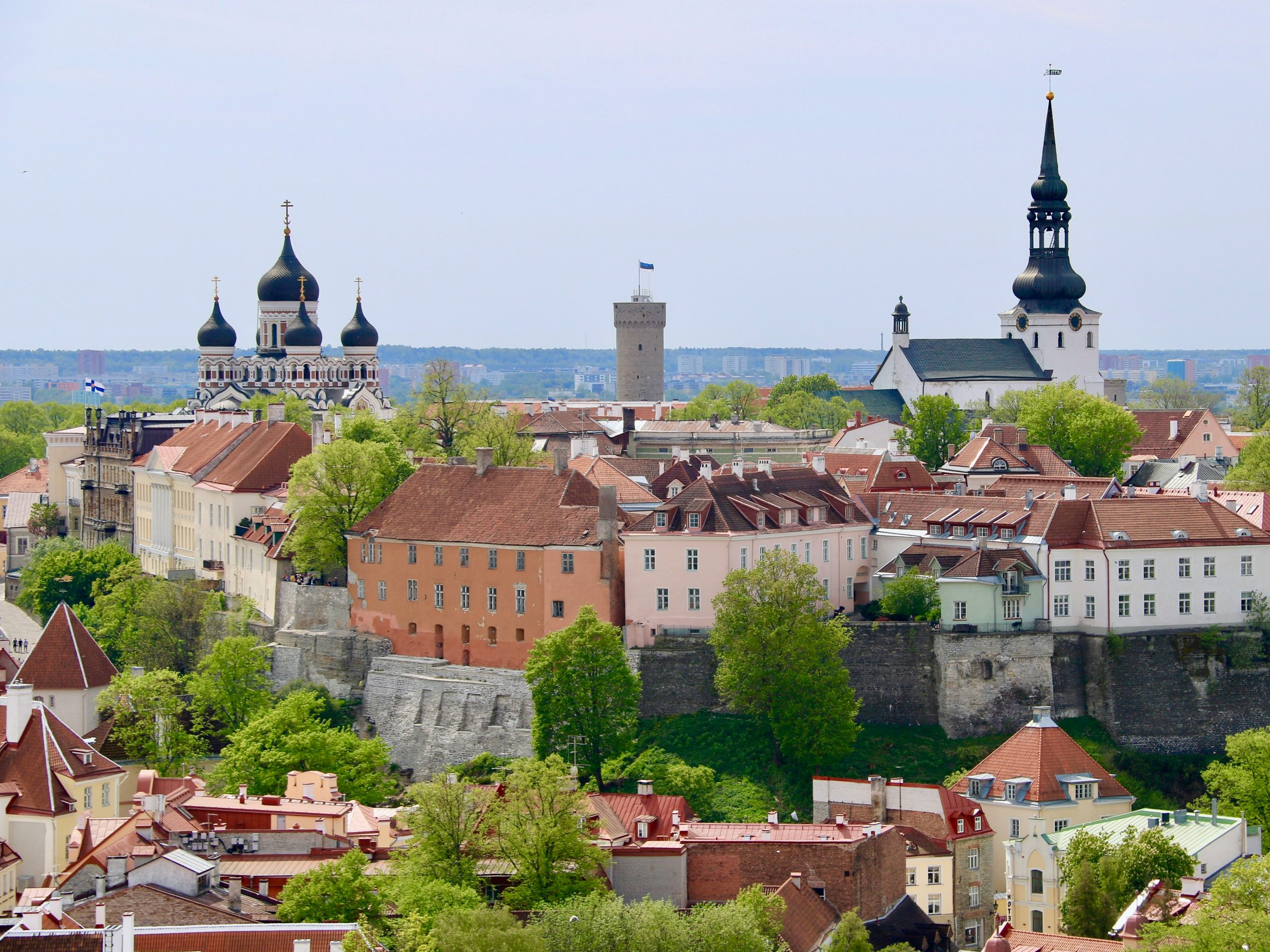 estonia digital nomad visa