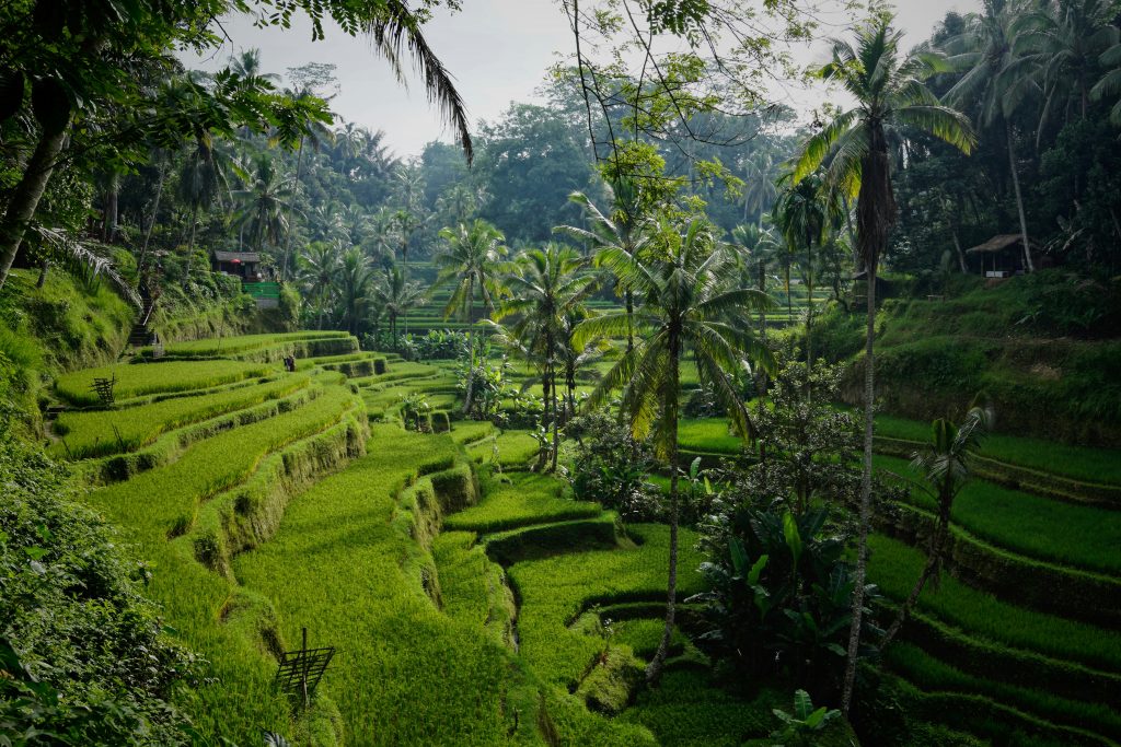 indonesia bali digital nomad visa