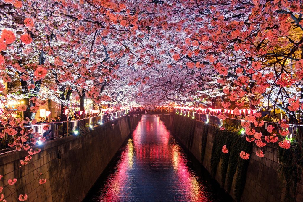 japan digital nomad visa